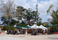 佐賀城本丸歴史館で開催する「売茶翁の心　おもてなし茶屋」